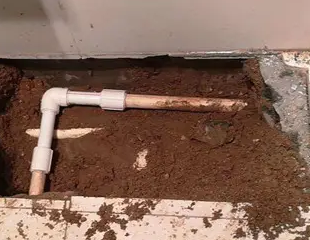 济阳测漏水哪家好