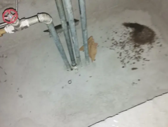 济阳卫生间测漏水价格明细